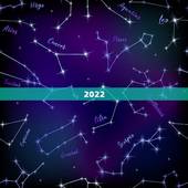2022 年74年女虎运程，47属虎在2022 年运势怎样