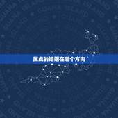 属虎的婚姻在哪个方向，属虎和属虎的婚姻好吗