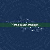 12生肖排行榜12生肖图片，2022 生肖表图片高清