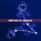 属相不合的人在一起会怎么样，两个人属相不和真的就那么重要吗？