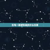 石龟一般放在墓的什么位置，墓前面是稻田，墓下有石龟，这样的好吗？