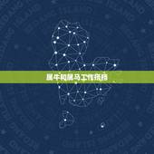 属牛和属马工作搭档，属牛和属马的做生意合财吗