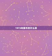 1973年属牛的什么命，1973年属牛是哪一命，五行是什么
