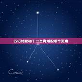 五行婚配和十二生肖婚配哪个更准，关于五行配婚和生肖配婚的问题 求教大师