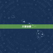 八字分析，八字分析.