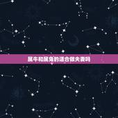 属牛和属兔的适合做夫妻吗，1997牛和1999兔相配吗