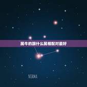 属牛的跟什么属相配对最好，属牛的人和什么属相最配