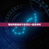 猴和鸡属相合不合可以一起合作吗，鸡和猴的属相性格合不合