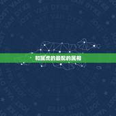 和属虎的最配的属相，属虎的和什么属相最配