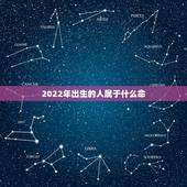2022年出生的人属于什么命，2022年出生的是属什么命