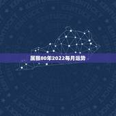 属猴80年2022每月运势，80年属猴女2021年运势每月运势