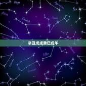 辛丑戊戌癸巳戊午，辛丑戊戌辛卯癸巳