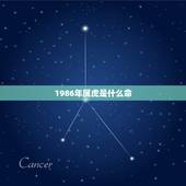 1986年属虎是什么命 1986年生肖虎运势分析