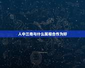 人中三奇与什么属相合作为好，属鼠人和什么属相合作最好
