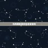 马鸡婚配适合生龙宝宝吗，属马和属龙的生什么属相孩子不好
