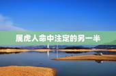 属虎人命中注定的另一半，我和我男友都是属虎的能在一起吗