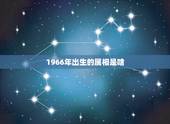 1966年出生的属相是啥，1966年属马是什么命