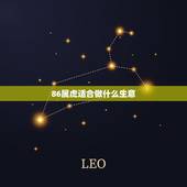 86属虎适合做什么生意，1986年属虎2月1出生合适做什么生意呢