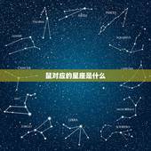 鼠对应的星座是什么，属牛是什么星座