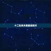 十二生肖夫妻最佳配对，十二生肖配偶对象