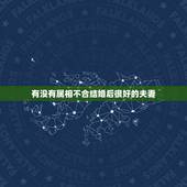 有没有属相不合结婚后很好的夫妻，有没有属相不合的夫妻走到最后？