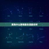 属兔什么属相最合适最合财，属兔的的双子座和什么星座属相相最最合财