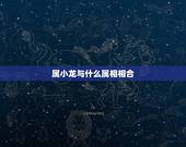 属小龙与什么属相相合，属小龙的和什么属相最配