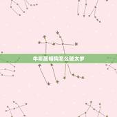 牛年属相狗怎么破太岁，牛年犯太岁的四个属相怎么化解