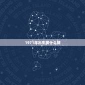 1971年出生属什么猪，1971年属猪的人和什么属相相配
