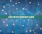 三妻六妾为天王指的是什么属相，三妻六妾的概述