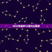 2023年虚岁22是什么属相，2023年二十二岁属什么生肖？