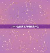 2002生的男五行婚配是什么，男2000年属龙和女2002年属马的结婚