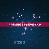马和老虎属相合不合能不能做父子，属虎和马合伙做生意吗