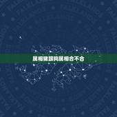 属相猪跟狗属相合不合，属相女猪和女狗犯不犯冲