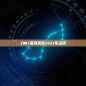 2005属鸡男孩2023年运势(未来三年财运亨通事业有成)
