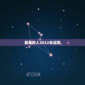 属兔的人2022年运势，2022年属兔运势女性