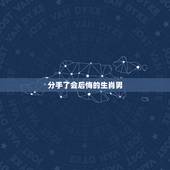 分手了会后悔的生肖男，分手了会后悔的生肖男