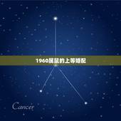 1960属鼠的上等婚配，属鼠和属鼠的婚配好吗