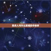 属虎人与什么属相合作愉快，属虎的和什么属相适合合伙