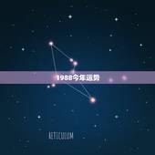 1988今年运势，1988年3月1日属龙的男人今年的运势