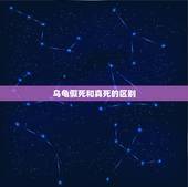 乌龟假死和真死的区别，乌龟冬眠时会假死吗？它假死时是什么特征？乌龟的壳