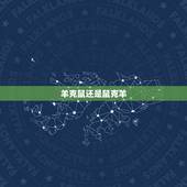 羊克鼠还是鼠克羊，羊鼠在一起鼠得病