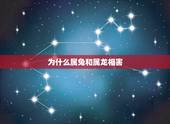 为什么属兔和属龙相害，属兔的人和什么属相最配