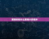 属猪的和什么属相小孩相冲，父母都属猪的和属蛇的女儿相冲，想克吗