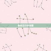 舍岩五行针法图，上海舍岩仪器有限公司怎么样