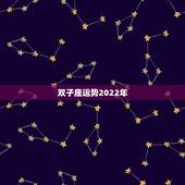 双子座运势2022年，射手座2022运势星座运程