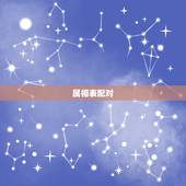 属相表配对，十二生肖配对表年龄
