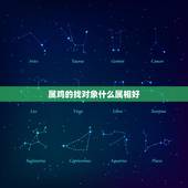 属鸡的找对象什么属相好，属鸡的究竟要找什么属相才合适？