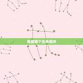兔跟哪个生肖相冲，兔和什么生肖相冲最凶