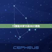 72属鼠49岁大运2021颜色，2021年属鼠的幸运色是什么颜色